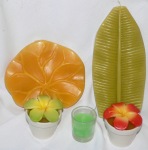 Earth Hour Survival Kit - Tropical